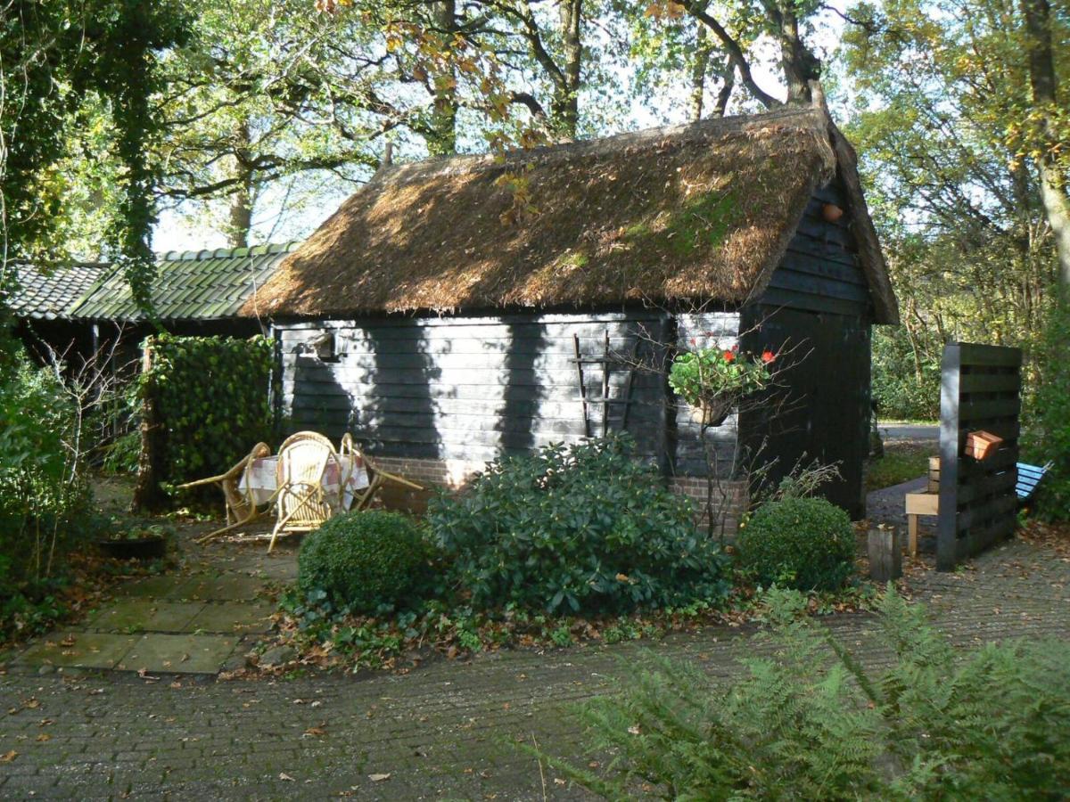Hoeve Den Anholt Βίλα Ruinen Εξωτερικό φωτογραφία