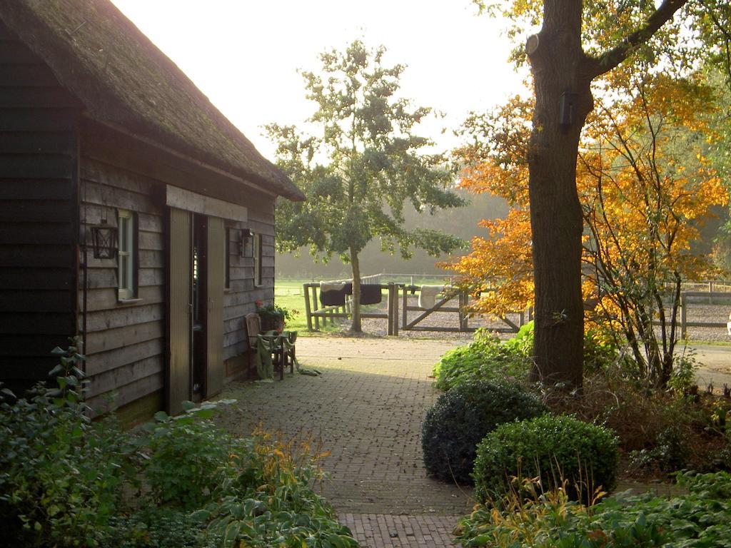 Hoeve Den Anholt Βίλα Ruinen Εξωτερικό φωτογραφία