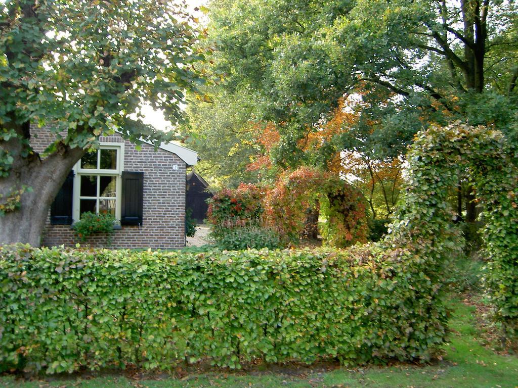 Hoeve Den Anholt Βίλα Ruinen Εξωτερικό φωτογραφία