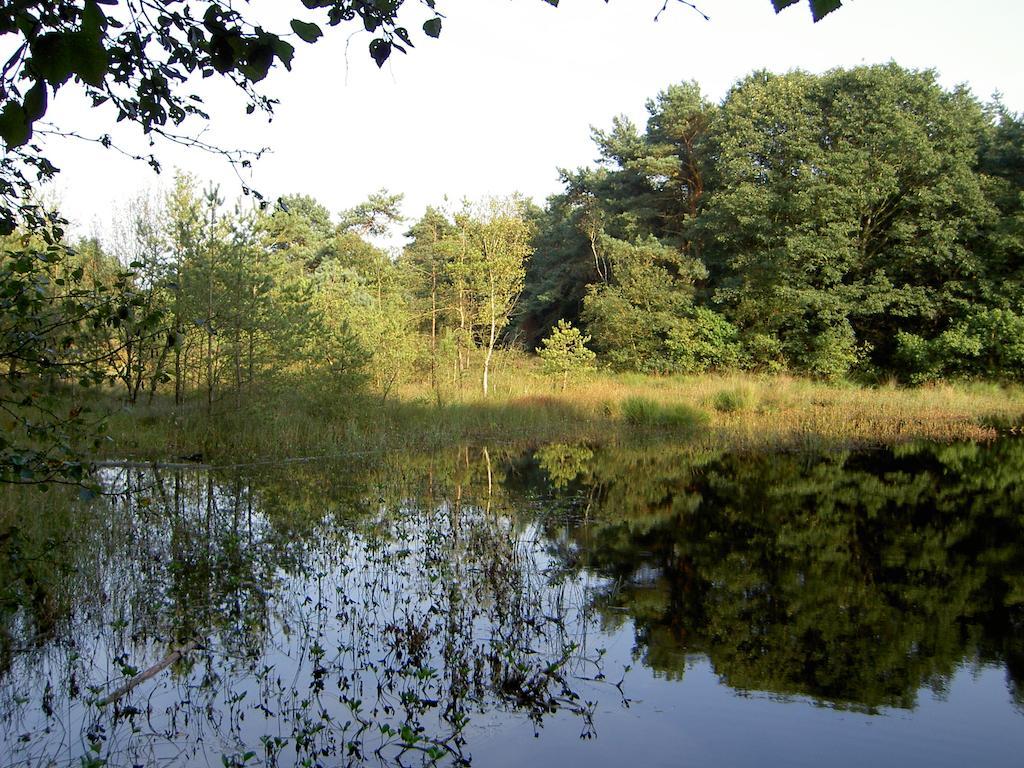 Hoeve Den Anholt Βίλα Ruinen Εξωτερικό φωτογραφία