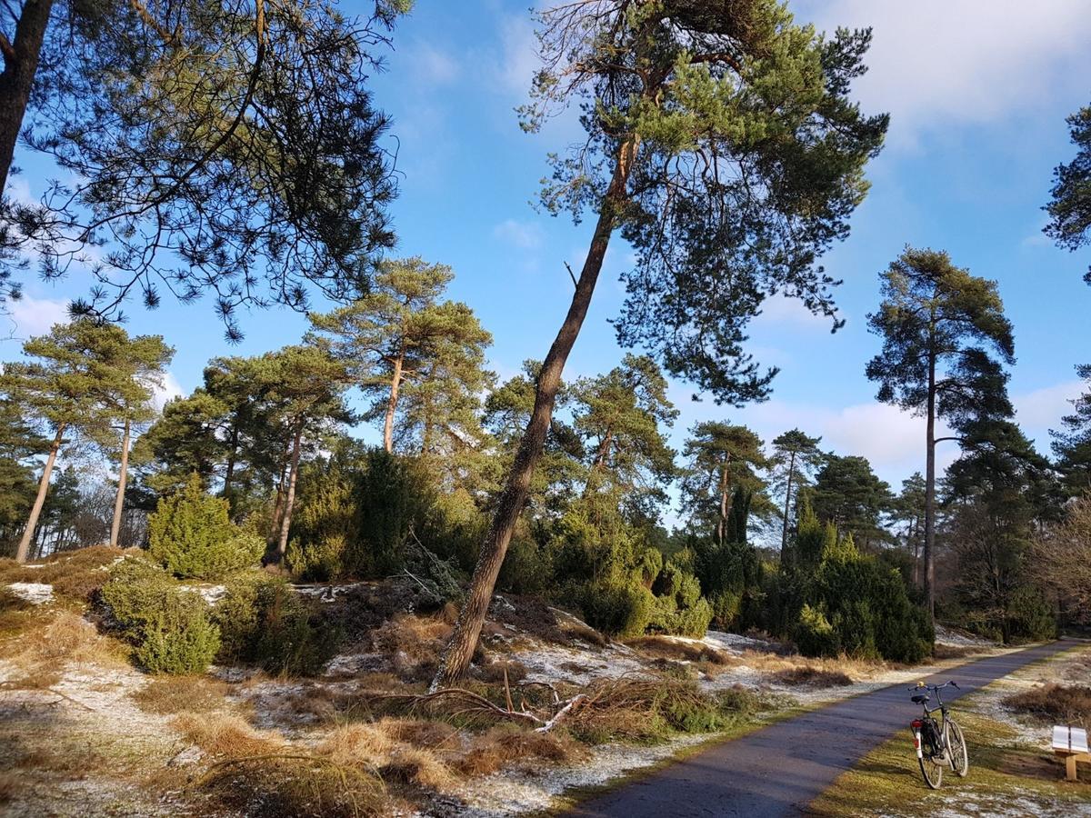 Hoeve Den Anholt Βίλα Ruinen Εξωτερικό φωτογραφία