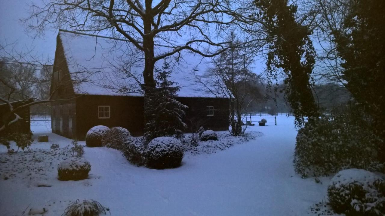 Hoeve Den Anholt Βίλα Ruinen Εξωτερικό φωτογραφία