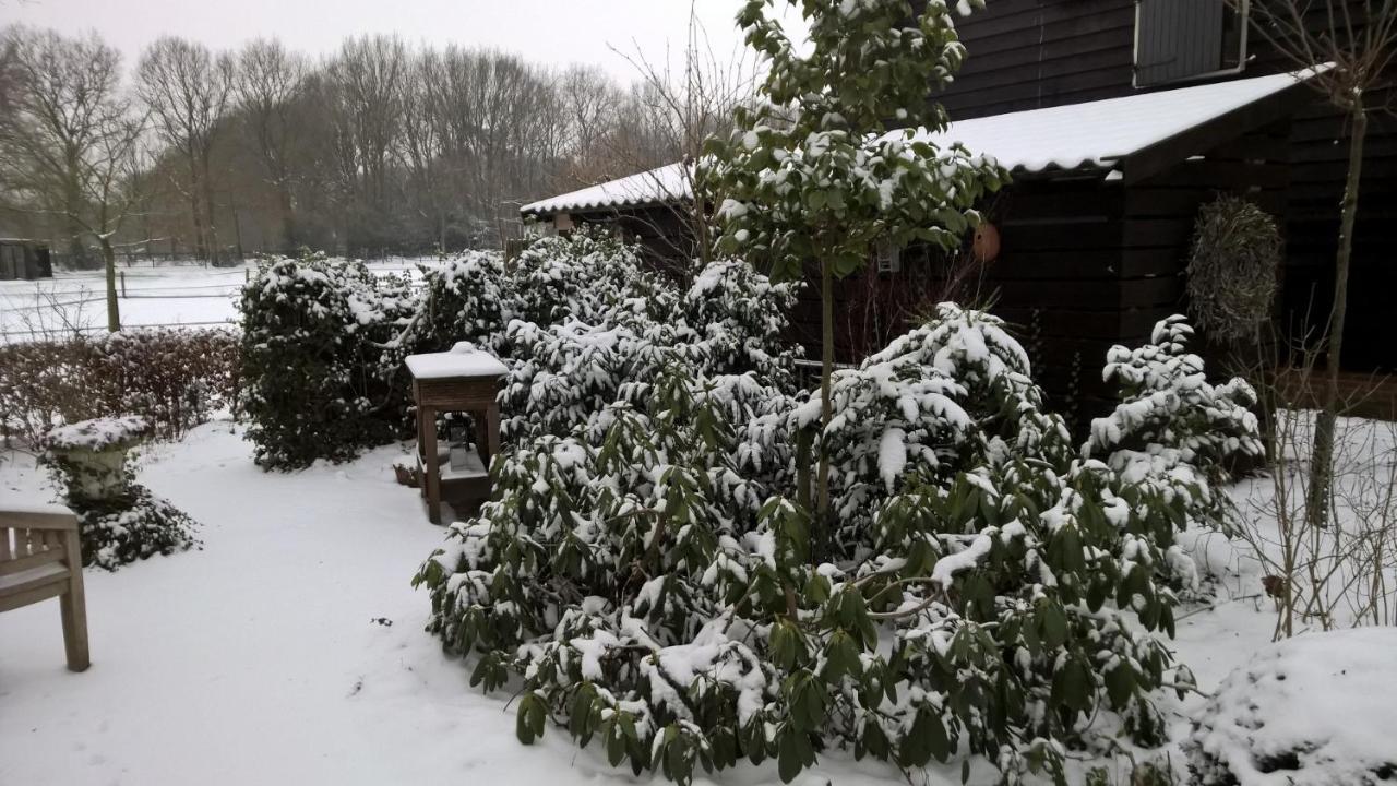 Hoeve Den Anholt Βίλα Ruinen Εξωτερικό φωτογραφία