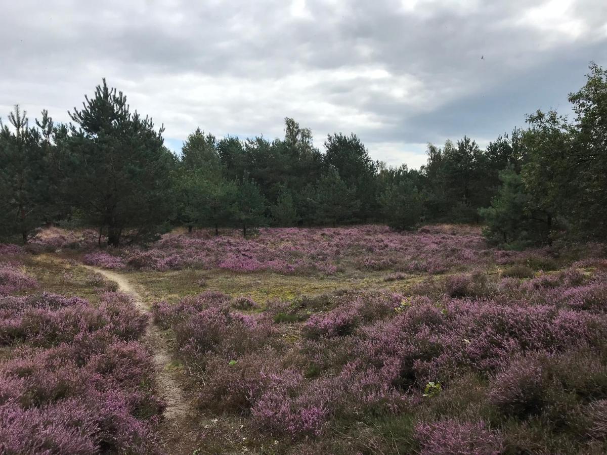 Hoeve Den Anholt Βίλα Ruinen Εξωτερικό φωτογραφία